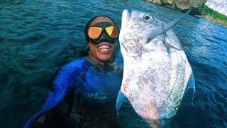 African Pompano { Catch & Cook } Sweet Potato, Ripe Plantain & Pumpkin Dumpling Authentic Cooking