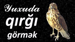 Yuxuda qırğı görmək  Qısa #yuxuyozma - SƏSLİ YUXU YOZMALARI