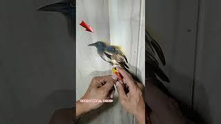 This guy draws a bird using heat!