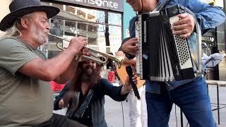 Sasho Gigov Gish & Čerkezi Orkestra - I barval pudela