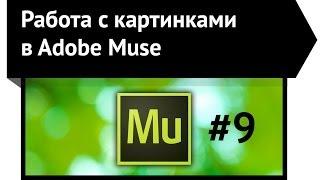 Работа с картинками в Adobe Muse