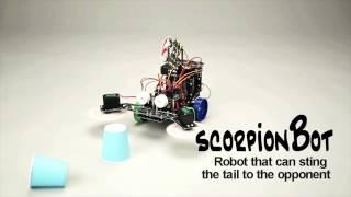 [ROBOROBO EDUCATION] ROBO KIT 6 - SCORPION BOT