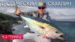 САХАЛИН! ТУНЕЦ на жереховую приманку! Bluefin tuna.