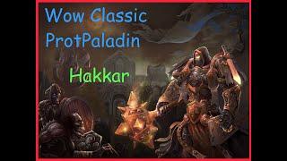 Prot Paladin tanking Hakkar Mind Control + \ Хаккар, пулим первыми и тогда не теряем аггро