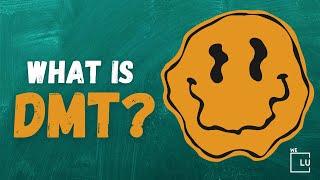 What is Dimethyltryptamine (DMT)? DMT Trip & DMT Effects in the Brain. 24/7 Helpline (561) 678-0917