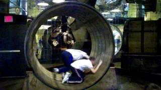 Human Gerbil Wheel