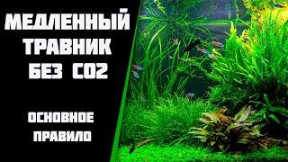 Создание медленного травника без CO2 и с минимумом удобрений.  Основное правило.