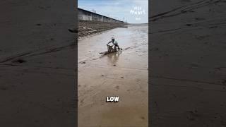 Sledding for Slimy Treasures