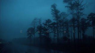 Eradiat - Frozen Mist | ambient music