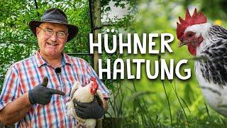 So kann jeder Hühner halten! - Nutztierhaltung im eigenen Garten für den Selbstversorger