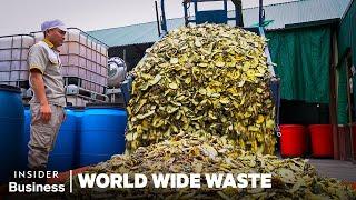 Can Pineapple Skins Replace Soap? | World Wide Waste | Business Insider