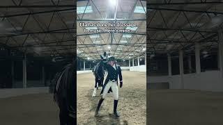 Ella: can I go please? #horse#alannaclarkeequestrian#horsegirl#horselover#equestrian