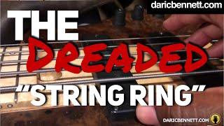 Get rid of the "String Ring" | How to Achieve a Cleaner Sound ~ Beginner Bass Course