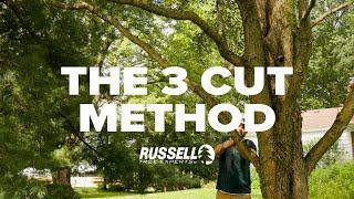 How to Prune a Tree Using the 3 Cut Method