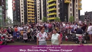 #вопросгубернатору Вопрос губернатору Подмосковья от жителей Wellton Park Новая Сходня