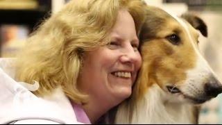 Plotting Lassie’s Future | The New York Times