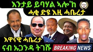 Nov 12/2024 እንታይ ይባሃል ኣሎ'ከ ሓቂ ድዩ እዚ ሓቤረታ እዋናዊ ሓቤረታ