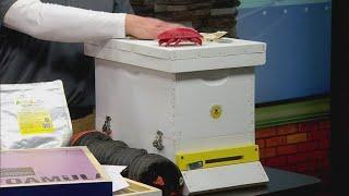 Introduction to Beekeeping Class