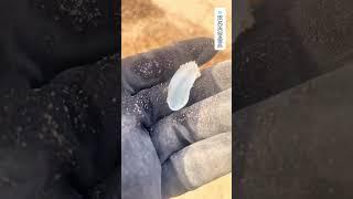 Sea glass #beachcombing