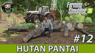 FS 25 : Hutan Pantai #12 | Лес | Планы на Будущее | Пилорама