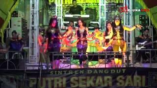 PANORAMA SINTREN || SINTREN PUTRI SEKAR SARI || IRWAN SAEFUDIN