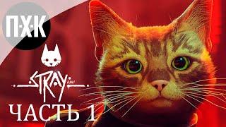 КОТ И ПОСТАПОКАЛИПСИС  Stray  Прохождение 1