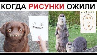 Лютые приколы. Когда рисунки ожили