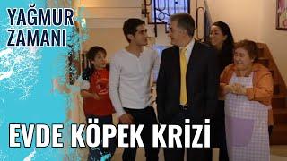 Evde Köpek Krizi | Yağmur Zamanı 19.Bölüm