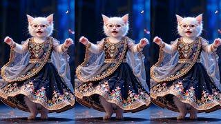 Cat videos funny dance  Videos for cats | बिल्ली डांस | Funny cat Dance #funny #dancingcat #cat