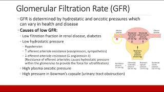 Applied Physiology for Anesthesia - 06 - RENAL - Part 1