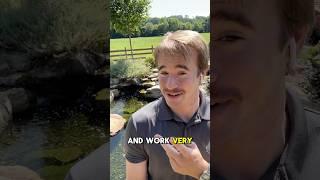 What is a deluxe model koi pond? #watergarden #koipond #aquascape