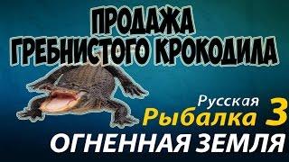 Русская рыбалка 3.99 Продажа Гребнистого крокодила  (крупных особей)