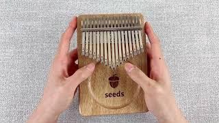 Canon |  seeds kalimba 17 key   (okoume)  #kalimba#kalimbasongs#marimbas