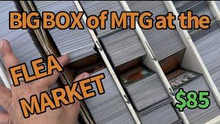 HUGE Box of MTG Cards for $85 at the Flea Market