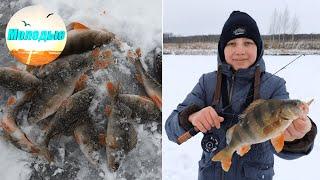 Батя жёстко порет окуня!! /КРУПНЫЙ ОКУНЬ на блесну!!! / Рыбалка по первому льду 2021!