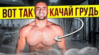 Накачать грудь легко! Топ 5 упражнений