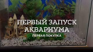 Мой первый АКВАРИУМ и его ОБИТАТЕЛИ!