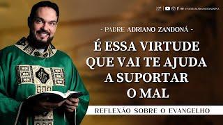 Homilia Diária | Liturgia de Hoje |Palavra do Dia - Padre Adriano Zandoná