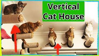 Playful Cats and Kittens: Happy Cats Playing on Vertical Cat House