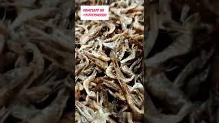 #Prawns Exporter in India | Prawns Wholesalers | Prawns & Fish Exporters | pewdiepie asmr markiplier