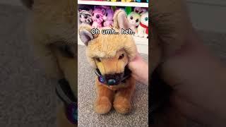 Inserts flabgasting title* {️: #essa #dog #douglas #stuffie #draft #trending #poplar #viralvideo}