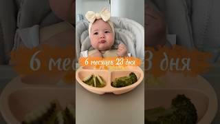 Яйцо - аллерген из «большой девятки»! #blw #самоприкорм #6months #6месяцев #прикорм #babyledweaning