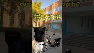 funny shorts video |#shorts