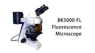 Binocular Fluorescence Microscope Precision Instrument BK5000-FL Chongqing Scope