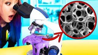 What Slime Looks Like Under A REAL Microscope! CRAZY 1000x ZOOM!