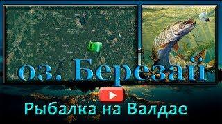 Рыбалка на Валдайских озерах. оз. Березай