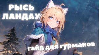 HONKAI:STAR RAIL  РЫСЬ ЛАНДАУ ГАЙД  ГАЙД НА РЫСЬ ЛАНДАУ ИССЛЕДОВАТЕЛЬНИЦУ HONKAI:STAR RAIL 1.3