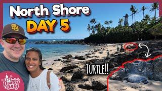 TURTLES, Food, and Fun on the NORTH SHORE | Matsumoto's, Big Wave, and DOLE Plantation