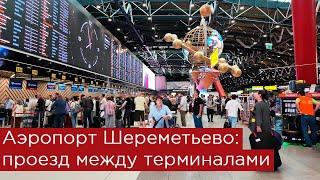 Аэропорт Шереметьево: проезд между терминалами B, C, D