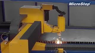 MSLoad & Storage Tower Automatic Plate Manipulation and Storage System